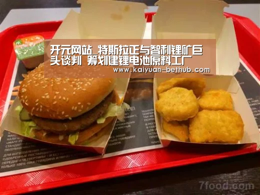 开元网站_特斯拉正与智利锂矿巨头谈判 筹划建锂电池原料工厂(图2) 开元赛事