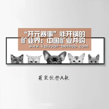 “开元赛事”炸开锅的矿业界:中国矿业并购时代已到来(图3) 开元游戏