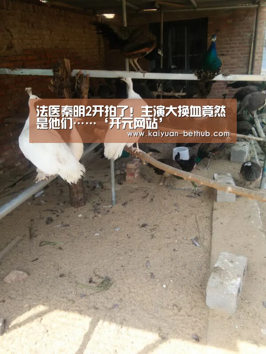 开元网站